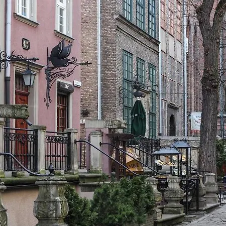 Norda Stare Miasto *